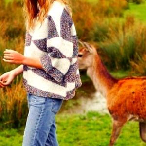 Anthropologie MOTH Geo Sparkle Sweater
